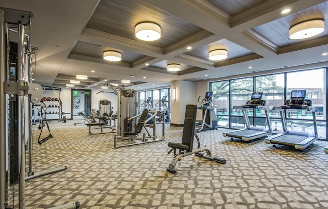 Strength and Cardio Fitness Center