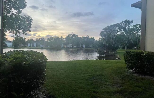 217 Woodlake Wynde - Private Waterfront Condo in Gated East Lake Woodlands