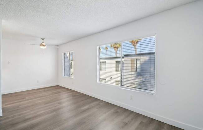 A room with a window showing a view of palm trees outside.