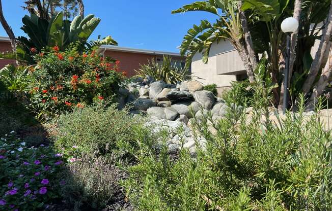 a garden with plants and rocks in front of a house