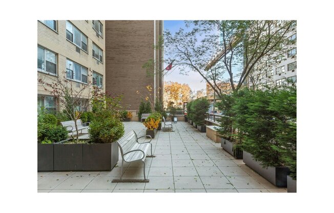 Studio, 1 bath, $3,500, Unit 5E