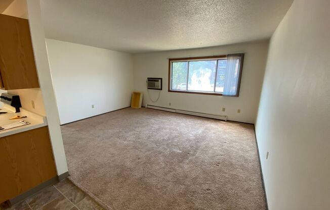 2 beds, 1 bath, 696 sqft, $745, Unit 1002-06-A