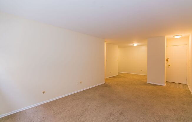 1 bed, 1 bath, 700 sqft, $1,695, Unit 428