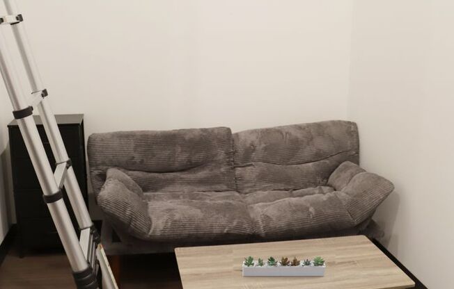 Studio, 1 bath, 265 sqft, $1,345, Unit Z-240 Furnished