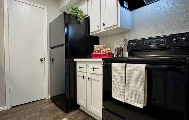 2 beds, 2 baths, 1,006 sqft, $995, Unit 100