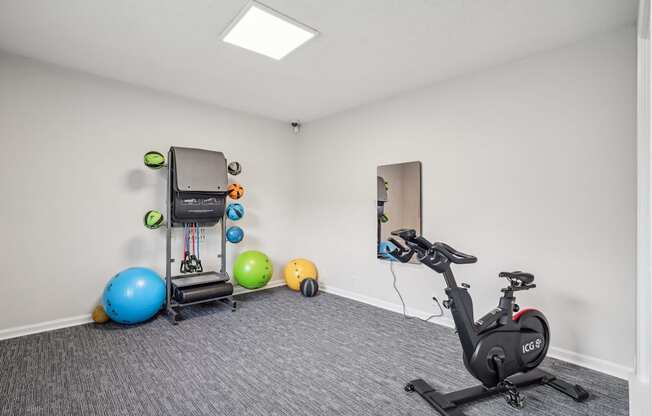 A room with a stationary bike, a mirror, and exercise balls.