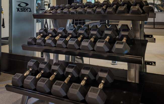 Free Weights In Gym at Abberly Square Apartment Homes, Waldorf, Maryland
