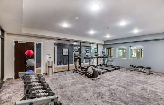 Fitness Center, Senior Apartment, Senior living, Maplewood, White Bear Lake, Saint Paul, Frost English Silver