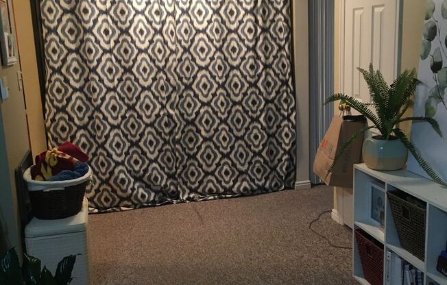 1B/1B Pet Friendly Apartment South of BYU