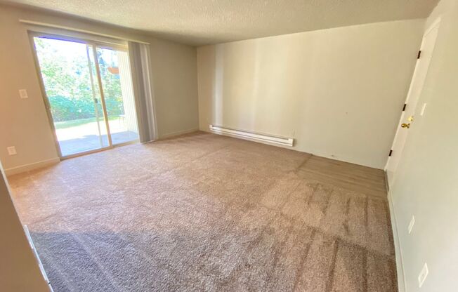 1 bed, 1 bath, 525 sqft, $1,350, Unit 19