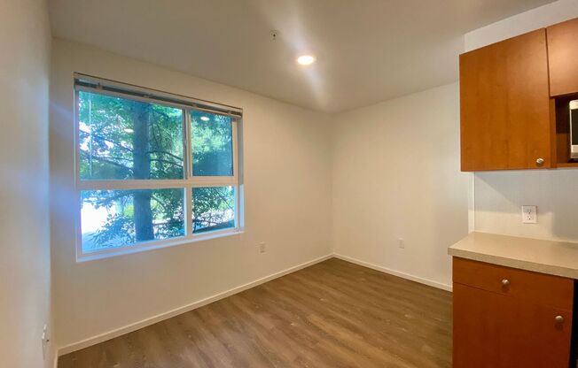 Studio, 1 bath, 176 sqft, $1,225, Unit 4210