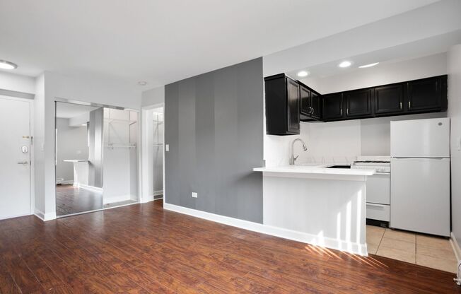 Studio, 1 bath, 295 sqft, $1,450, Unit 247