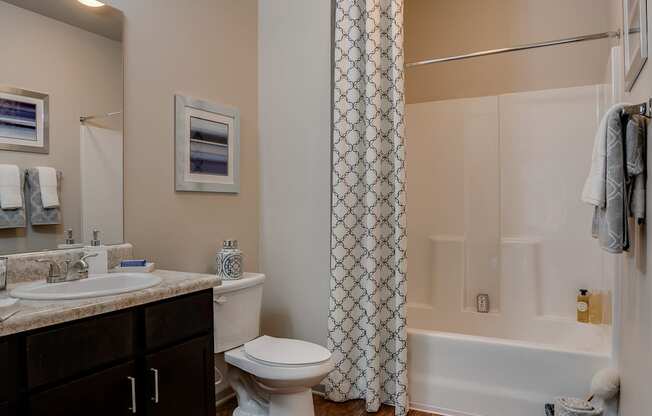Bathroom with Wood-Style Plank Flooring