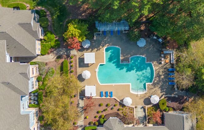 An aerial view of a swimming pool surrounded by trees and houses.