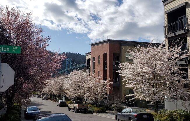 1 bed, 1 bath, 492 sqft, $1,355, Unit 1-212