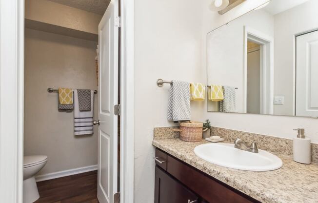 Bathroom at Palmetto Place Apartments, Taylors, 29687
