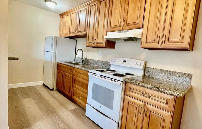 Studio, 1 bath, 375 sqft, $1,595, Unit 119