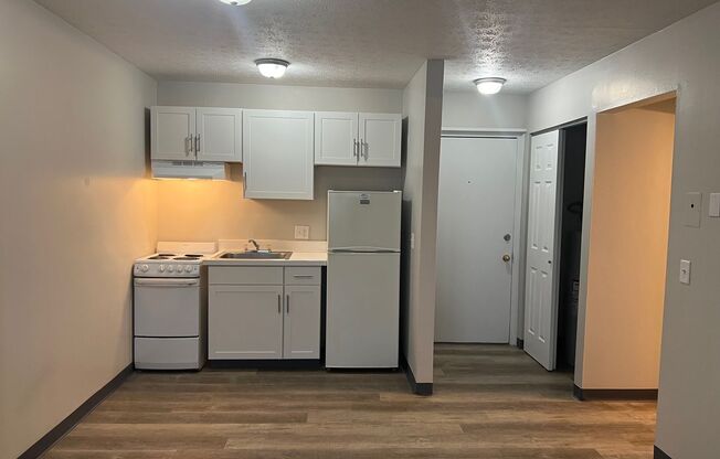 1 bed, 1 bath, 450 sqft, $600, Unit 209