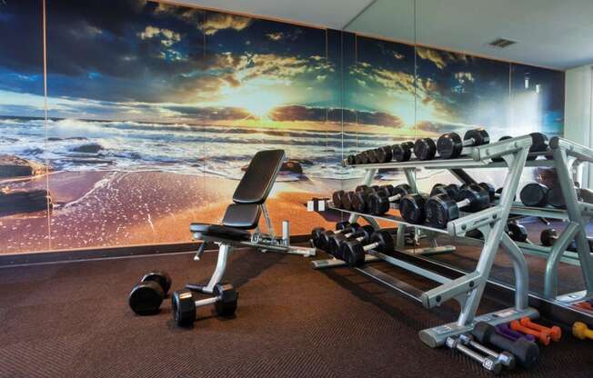 a gym with weights and a wall mural of the ocean