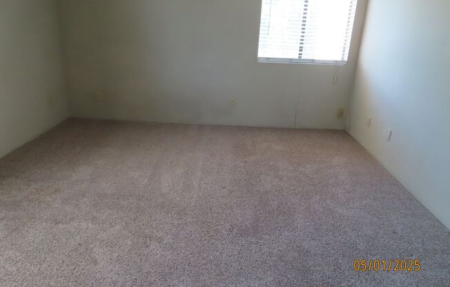 1 bed, 1 bath, $1,399, Unit # 238