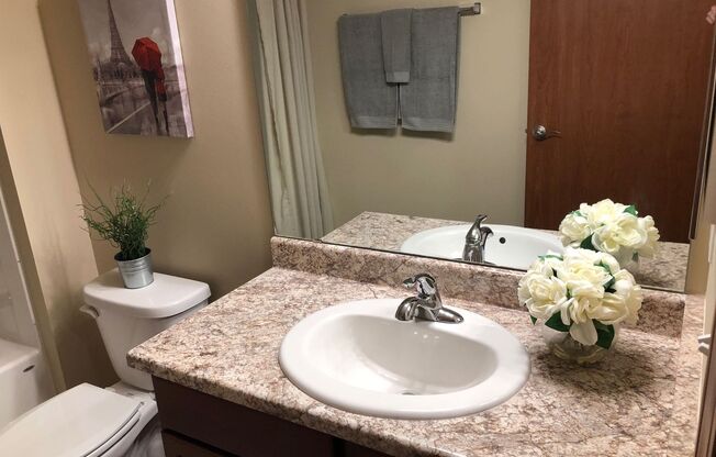 Studio, 1 bath, 288 sqft, $1,150, Unit 211