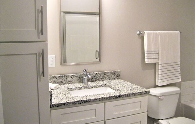1 BR 1 BA Apartment