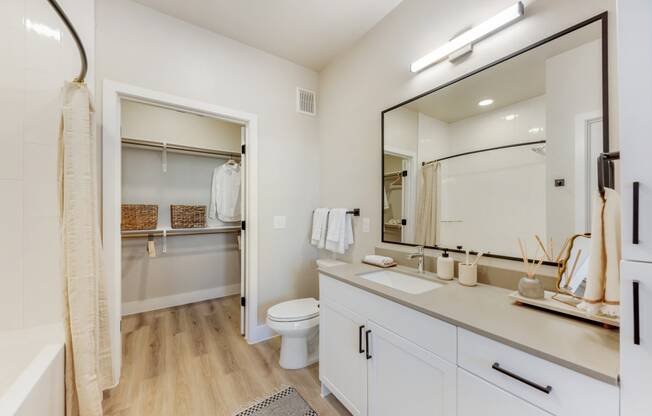 a bathroom with a large mirror and a sink and a toilet