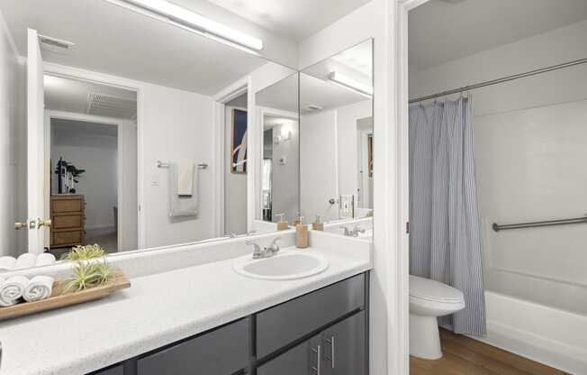 Oakridge Apartments - One Bedroom Model - Upgraded Bathroom