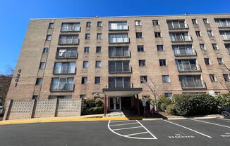 Light-filled Contemporary 1 Bedroom 1 Bathroom Unit In Refreshing Tanglewood - Utilities Included!