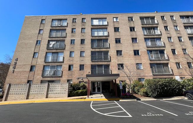 Light-filled Contemporary 1 Bedroom 1 Bathroom Unit In Refreshing Tanglewood - Utilities Included!