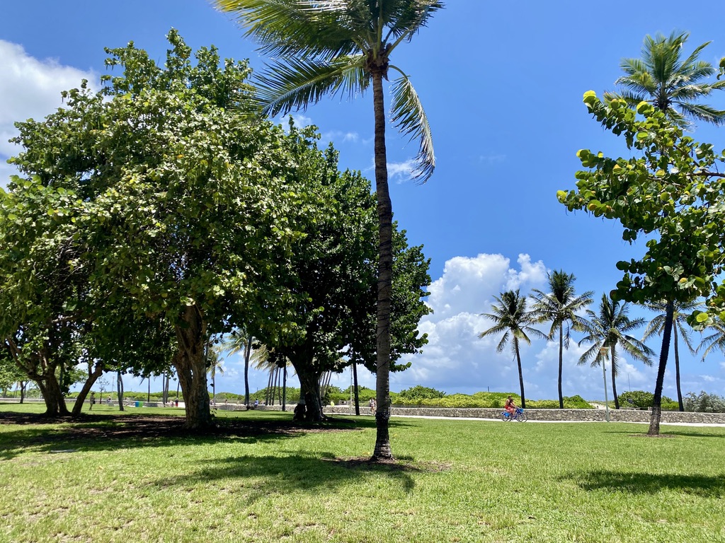 Lummus Park in South Beach