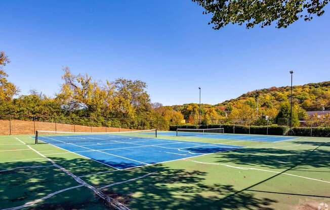 two tennis courts with trees in the background on a sunny day