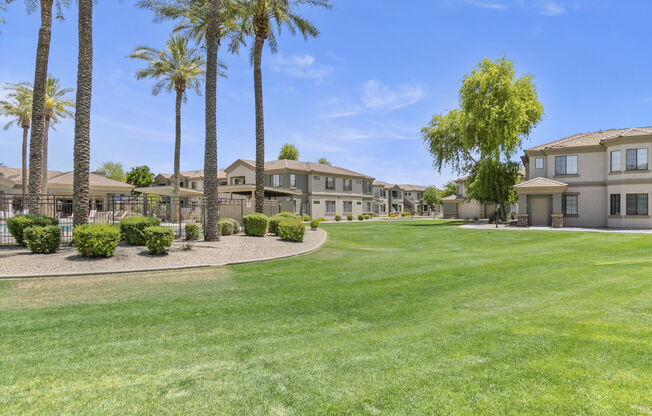 a grassy area with palm trees and houses in the background at Adiamo Palm Valley, Goodyear, Arizona