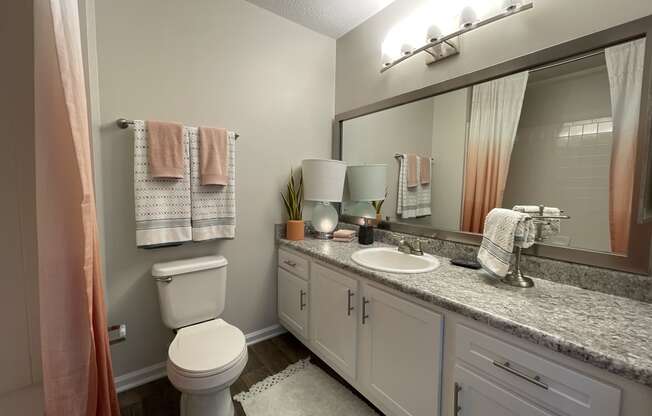 modern bathroom featuring modern finishes at Palmetto Place, Fort Mill, SC