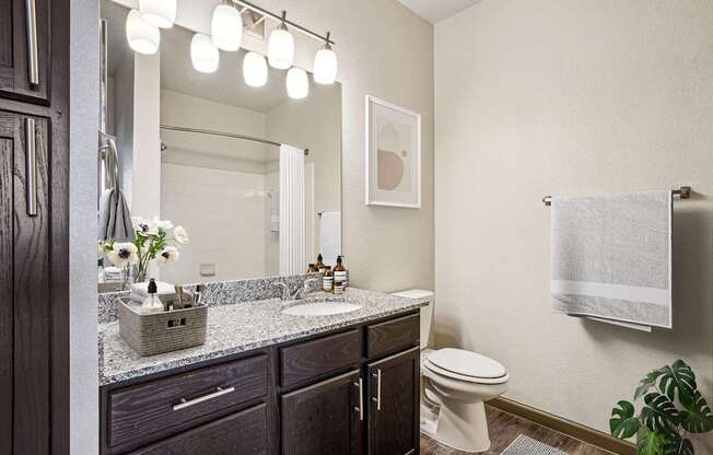 Pet-Friendly Rentals in Bentonville, AR – Parc at Bentonville – A bathroom with a white toilet and a mirror above a sink.