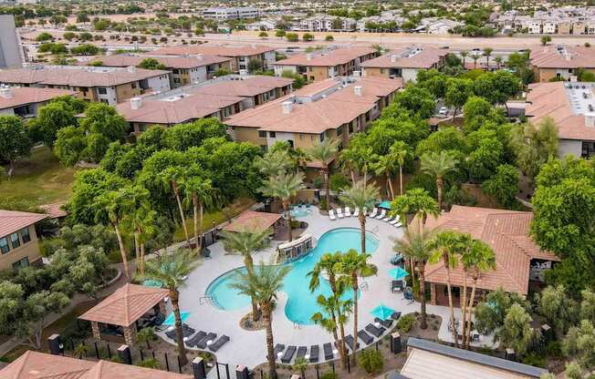 A large swimming pool surrounded by palm trees and lounge chairs in a residential area. at The Laurel Apartments, Chandler, AZ