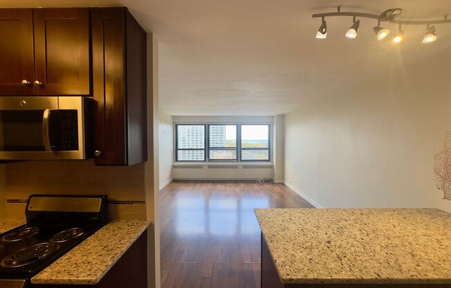 1 bed, 1 bath, 700 sqft, $2,025, Unit 418-1610