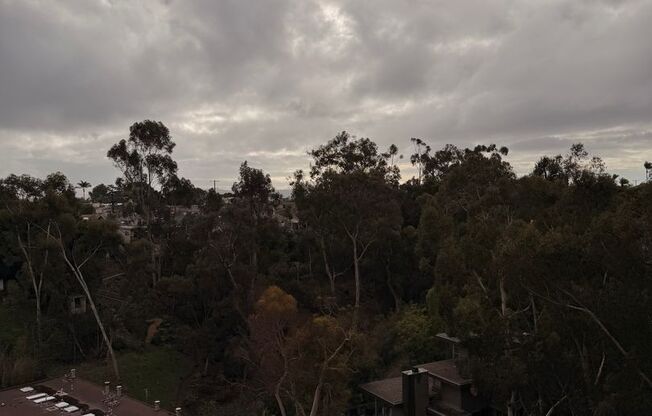 Studio, 1 bath, 362 sqft, $2,660, Unit 903