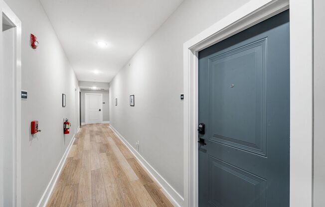 1 bed, 1 bath, 493 sqft, $1,499, Unit 303