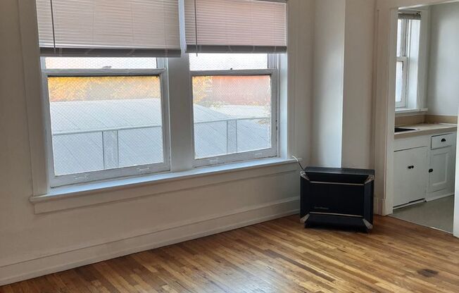 Studio, 1 bath, 332 sqft, $950, Unit 314