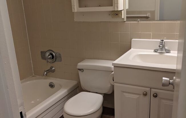 1 bed, 1 bath, 570 sqft, $3,000, Unit 1602