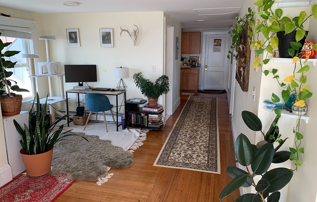 2 beds, 1 bath, 1,000 sqft, $2,500, Unit 3