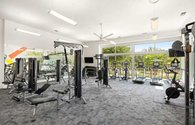 a gym with weights and cardio equipment in a building with large windows