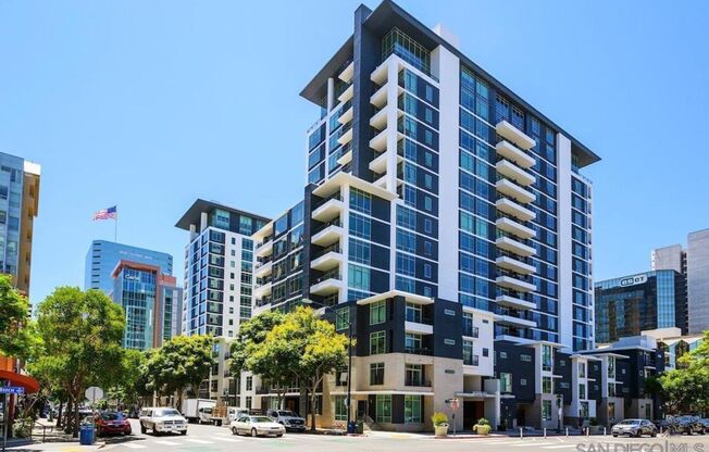 Furnished 1 bedroom, 1 bath in Acqua Vista in Little Italy Downtown