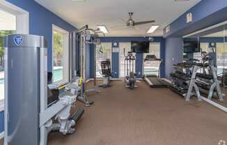 a gym with weights and cardio machines and a tv