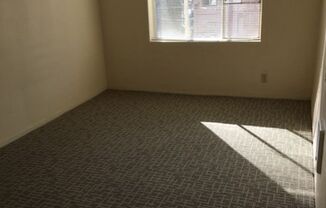 1 bed, 1 bath, $1,300, Unit 305A