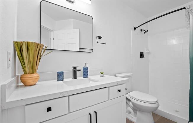 a bathroom with a sink and a toilet and a mirror
