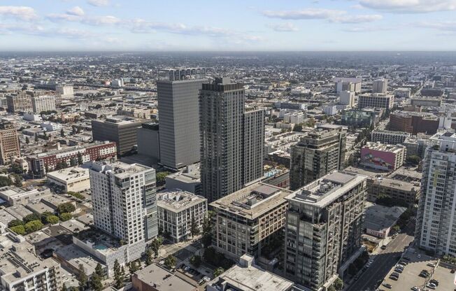 1 bed, 1 bath, 790 sqft, $2,600, Unit 1019