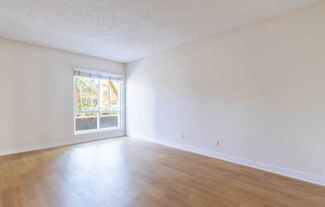 Bedroom with Hard Surface Flooring