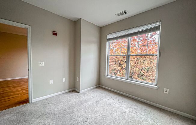 1 bed, 1 bath, $1,800, Unit UNIT 308